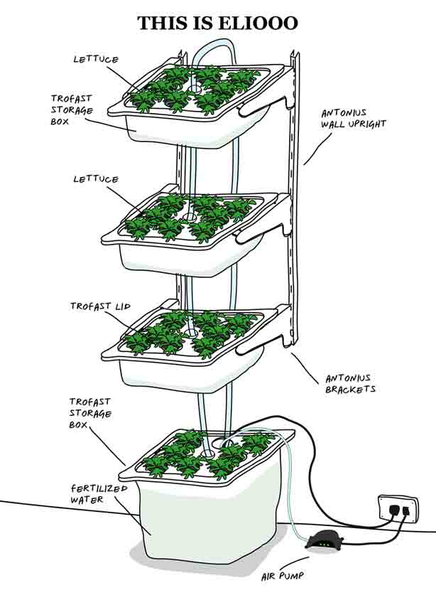 How to Build Indoor Hydroponic Gardens Using IKEA Storage Boxes ...