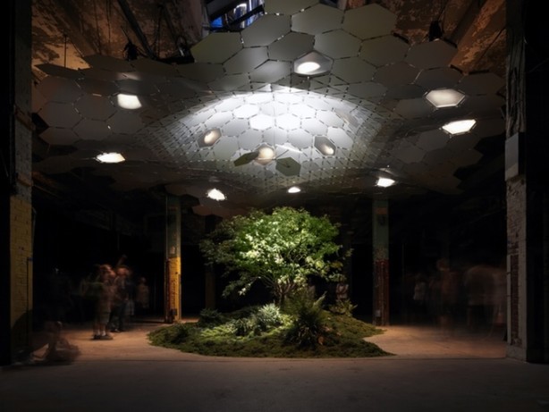 NYC's Lowline Underground Park To See Light of Day