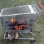 shopping-cart-fire-pit